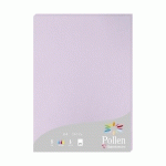 ETUI DE 25 FEUILLES POLLEN 210X297MM 210G/M2 - GLYCINE - LOT DE 2