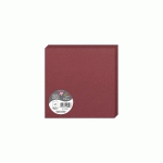 PAQUET DE 25 CARTES PLIÉES POLLEN 160X160MM 210G/M2 - BORDEAUX - LOT DE 2