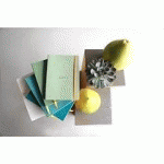 RHODIARAMA CARNET SOUPLE A5 160 PAGES DOT PAPIER IVOIRE 90G FERMETURE ÉLASTIQUE - EAU - LOT DE 2