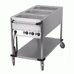 CHARIOT BAIN MARIE PROFESSIONNEL 3 CUVES GN 1/1