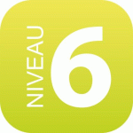 PLAQUE SIGNALÉTIQUE EN DRAPEAU PLEXI - NIVEAU 6 (VERT CLAIR)