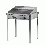 GRILL À GAZ GREEN FIRE PROFI LINE – 2 BRÛLEURS