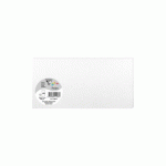 LOT DE 2 - PAQUET DE 25 CARTES SIMPLES POLLEN 106X213MM 210G/M² - BLANC IRISÉ