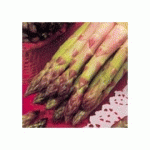 GRIFFES D'ASPERGES ARGENTEUIL - LA BOTTE DE 20 - FABRE GRAINES