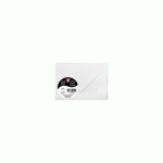 LOT DE 3 - PAQUET DE 20 ENVELOPPES POLLEN 75X100MM 120G/M² - BLANC IRISÉ