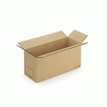 CAISSE CARTON GALIA DOUBLE CANNELURE AVEC RABATS 100X40X50 CM