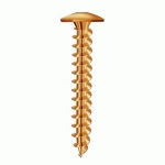 VIS DE PENTURE TORX - BICHROMATÉ - FILETAGE TOTAL - 5X40 MM - 250 PIÈCES VISWOOD