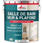 ARCANE INDUSTRIES - PEINTURE SALLE DE BAIN MUR PLAFOND CONDENSATION - 2.5 L BLANC BLANC