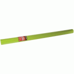 NAPPE JETABLE NON TISSÉ SPUNBOND - ROULEAU 1.20 X 10 M VERT KIWI - COGIR