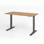 BUREAU ASSIS-DEBOUT SÉRIE XMKA-160X80CM-NOYER-GRAPHITE - HAMMERBACHER