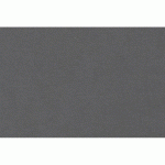GOLDLINE CONTRECOLLÉ 10F A1 750G 1250 MICRONS - CHARBON