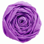 LOT DE 2 - PAPIER CRÉPON, PAQUET DE 10 FEUILLES PLIÉES 40% AU FORMAT 2X0,50M - MAUVE