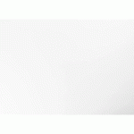 PAPIER COULEUR RECYLÉ, PAQUET DE 25 FEUILLES 270G/M2 AU FORMAT 50X65CM - BLANC