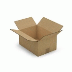 CAISSE CARTON BRUNE DOUBLE CANNELURE RAJA 31X22X15 CM