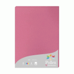 LOT DE 2 - ETUI DE 25 FEUILLES POLLEN 210X297 210G/M2 - ROSE HORTENSIA