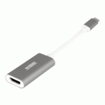 URBAN FACTORY ADAPTATEUR VIDÉO - HDMI / USB - 10.5 CM