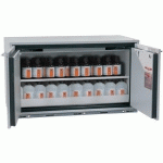 ARMOIRE SÉCURITÉ SOUS PAILLASSE UB-T-30 UB30.060.110.2T GRIS - ASECOS