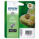 EPSON CARTOUCHE JET D ENCRE GRISE POUR STYLUS PHOTO 2100 REF T034740