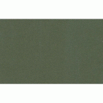 GOLDLINE CONTRECOLLÉ 10F A1 750G 1250 MICRONS - VERT BOUTEILLE