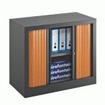 ARMOIRE À RIDEAUX MONOBLOC ECO-CONÇUE DÉCOR H 70 X L 80 CM CORPS ANTHRACITE/RIDEAUX MERISER