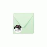 LOT DE 2 - PAQUET DE 20 ENVELOPPES POLLEN 140X140MM 120G/M2 - VERT