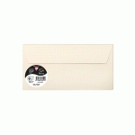 PAQUET DE 5 ENVELOPPES POLLEN 110X220MM 120G/M2 - IVOIRE - LOT DE 10