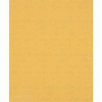 BOSCH 50 FEUILLE ABRASIVE BOIS ET PEINTURE C470 EXPERT 230X280MM - BOSCH