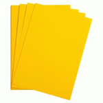 LOT DE 2 - MAYA RAME 25F A4 185G - JAUNE SOLEIL