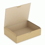 BOÎTE CARTON BRUNE D'EXPÉDITION RAJAPOST 33X25X8 CM