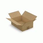 CAISSE CARTON BRUNE SIMPLE CANNELURE RAJA 31X21,5X10 CM