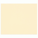 TULIPE RAME 100F A4 160G - IVOIRE