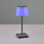 REALITY LEUCHTEN LAMPE À POSER LED SANCHEZ RGBW/DIM, ANTHRACITE