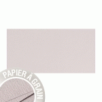 PAQUET DE 5 CARTES SIMPLES GRAIN DE POLLEN 105X210MM 210G/M² - AMPHORE - LOT DE 20