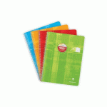 LOT DE 10 - CAHIER RELIURE INTÉGRALE DÉFICIENTS VISUELS 24X32CM 100 PAGES GRANDS CARREAUX NOIRS 2,5MM AGRANDIS 10X10 COULEUR ALÉATOIRE - ASSORTIS