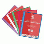 LOT DE 5 - PROTÈGE-DOCUMENTS BRUNEAU POLYPROPYLÈNE TRANSLUCIDE PERSONNALISABLE A4 30 POCHETTES - 60 VUES COULEURS ASSORTIES