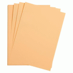 MAYA RAME 125F 50X70CM 270G - ABRICOT