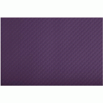 SET DE TABLE 30X40 CM - TISS-LACK AUBERGINE - COGIR