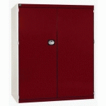 BOTT 1 ARMOIRE CUBIO PORTES PERFO - HAUTEUR 1600 MM - BOTT