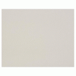 CARTON GRIS 2,0MM 10F 80X120CM 1300G - GRIS