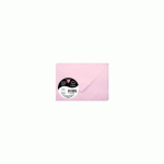 LOT DE 2 - PAQUET DE 20 ENVELOPPES POLLEN 75X100MM 120G/M² - ROSE DRAGÉE