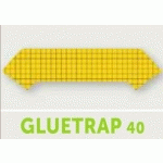 PLAQUE DE GLU GLUTRAP 40 POUR DÉSINSECTISEURS