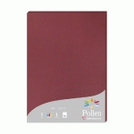 ETUI DE 50 FEUILLES POLLEN 210X297MM 160G/M2 - BORDEAUX - LOT DE 2