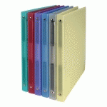 LOT DE 10 - PROTÈGE-DOCUMENTS VIQUEL PROPYGLASS POLYPROPYLÈNE TRANSLUCIDE A4 10 POCHETTES - 20 VUES COULEURS ASSORTIES