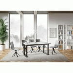 TABLE EXTENSIBLE 90X160/220 CM BANDOS FRÊNE BLANC STRUCTURE ANTHRACITE