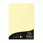 LOT DE 2 - ETUI DE 50 FEUILLES POLLEN 210X297MM 120G/M2 - CANARI