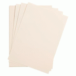 LOT DE 2 - MAYA RAME 25F A4 185G - IVOIRE