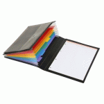 LOT DE 8 - TRIEUR EXTENSIBLE A4 PLASTIQUE MANAGER VIQUEL RAINBOW CLASS - 6 COMPARTIMENTS