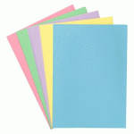 CHEMISE STANDARD 160 G 24 X 32 CM COULEUR - PAQUET DE 100 - ASSORTIES