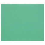 TULIPE RAME 50F A3 160G - VERT FONCÉ