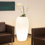 DEGARDO LAMPE STORUS V POUR PLANTES, BLANC TRANSPARENT